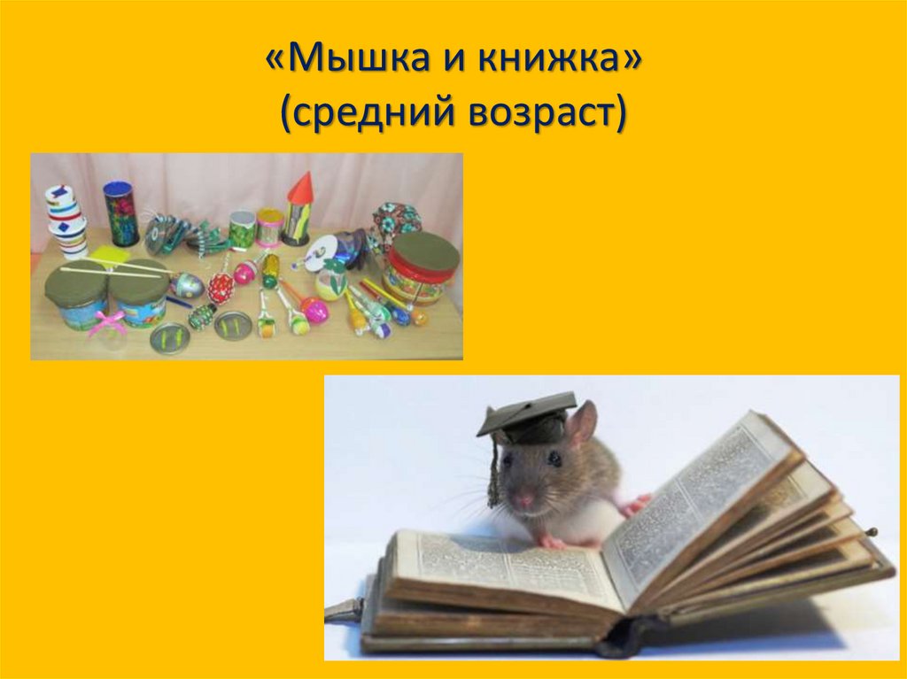 Средняя книга