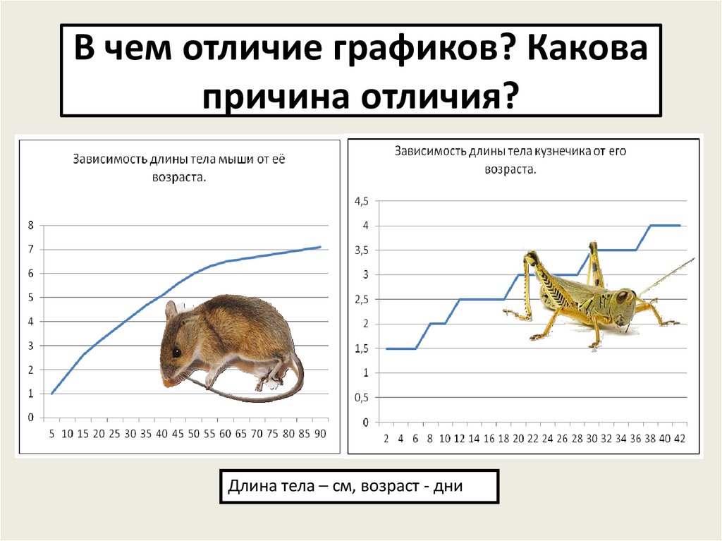 Чем отличаются графики