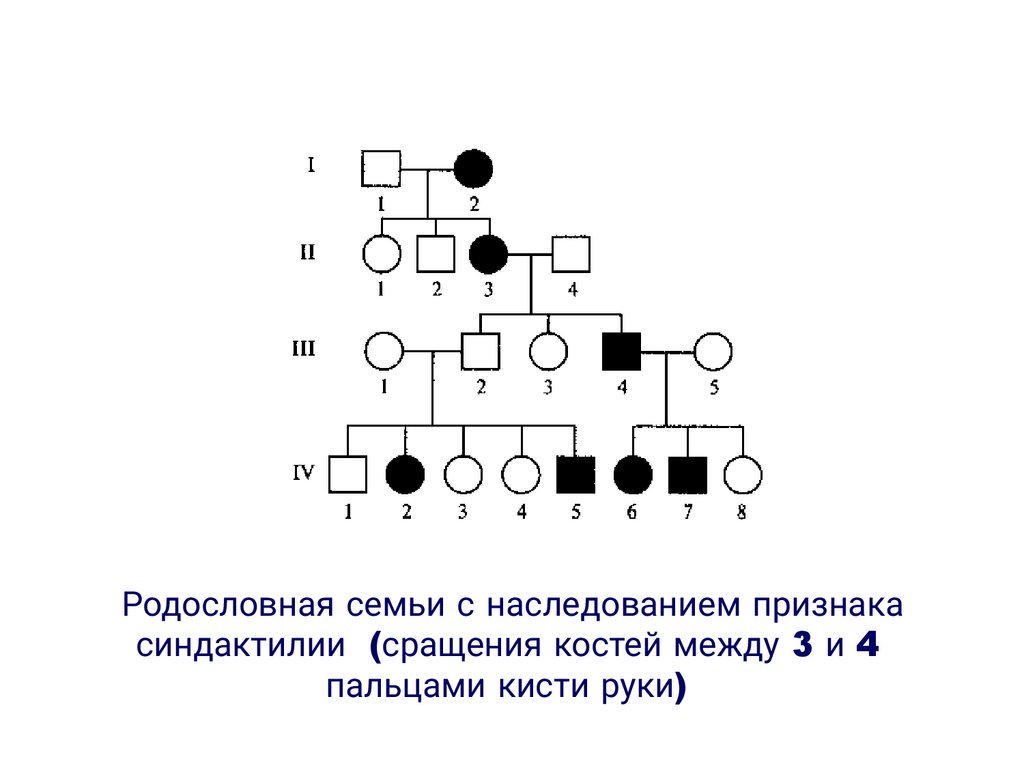 Типы наследования признаков генеалогический метод