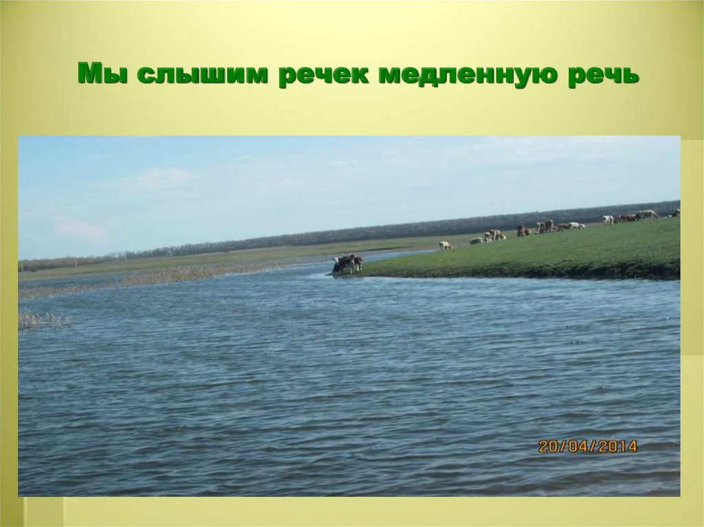 Мы слышим речек медленную речь