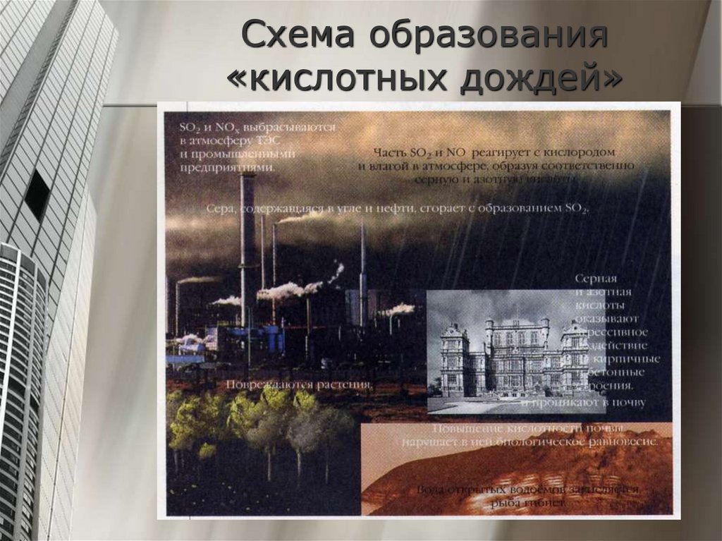 Схема образования «кислотных дождей»
