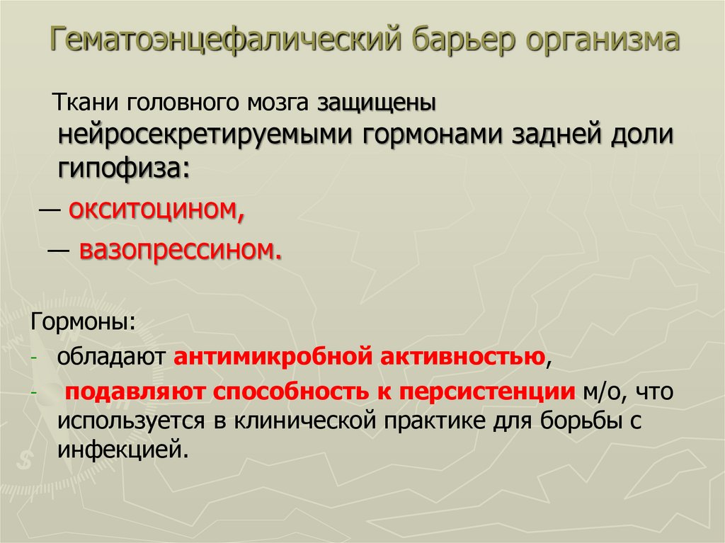 Барьерные организмы. Гематоэнцефалический барьер это в фармакологии. Гематоэнцефалический барьер головного мозга. Гематоэнцефалический барьер в органах. Гемато барьеры организма.