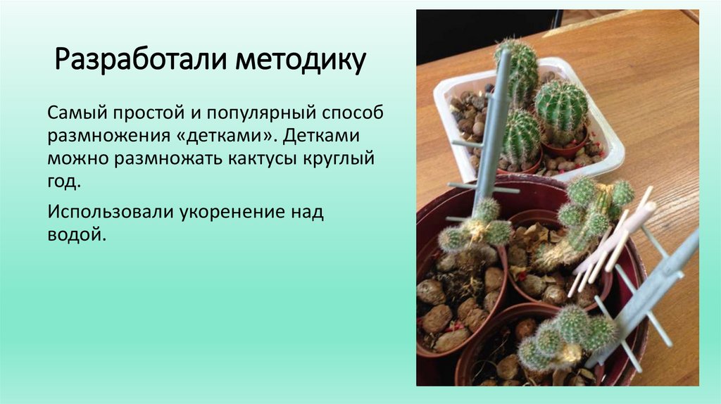 Разработали методику