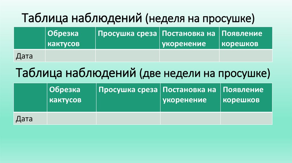 Таблица наблюдений (неделя на просушке)