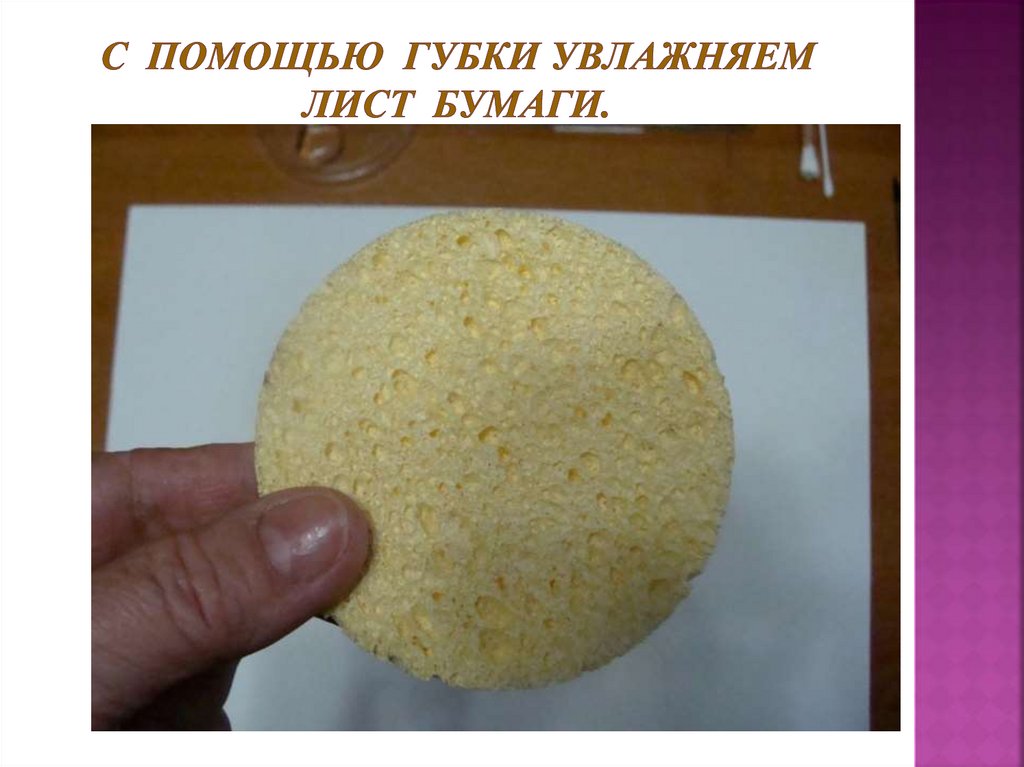 С помощью губки увлажняем лист бумаги.