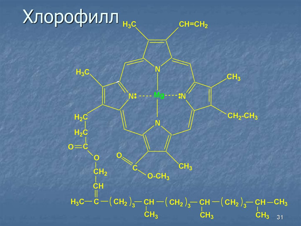 Хлорофилл химический состав. Строение молекулы хлорофилла. Хлорофилл комплексное соединение. Структура хлорофилла. Хлорофилл формула химическая.