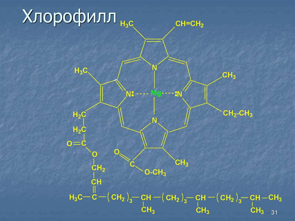 В состав хлорофилла входит. Хлорофилл. Хлорофилл соединение. Хлорофилл комплексообразователь. Хлорофилл с2.