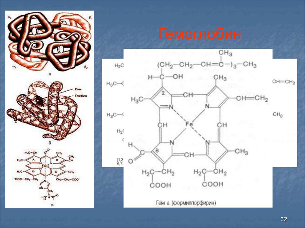 Гем биохимия. Хим структура гемоглобина. Строение гемоглобина схематично. Строение гема гемоглобина. Гемоглобин гем биохимия строение.