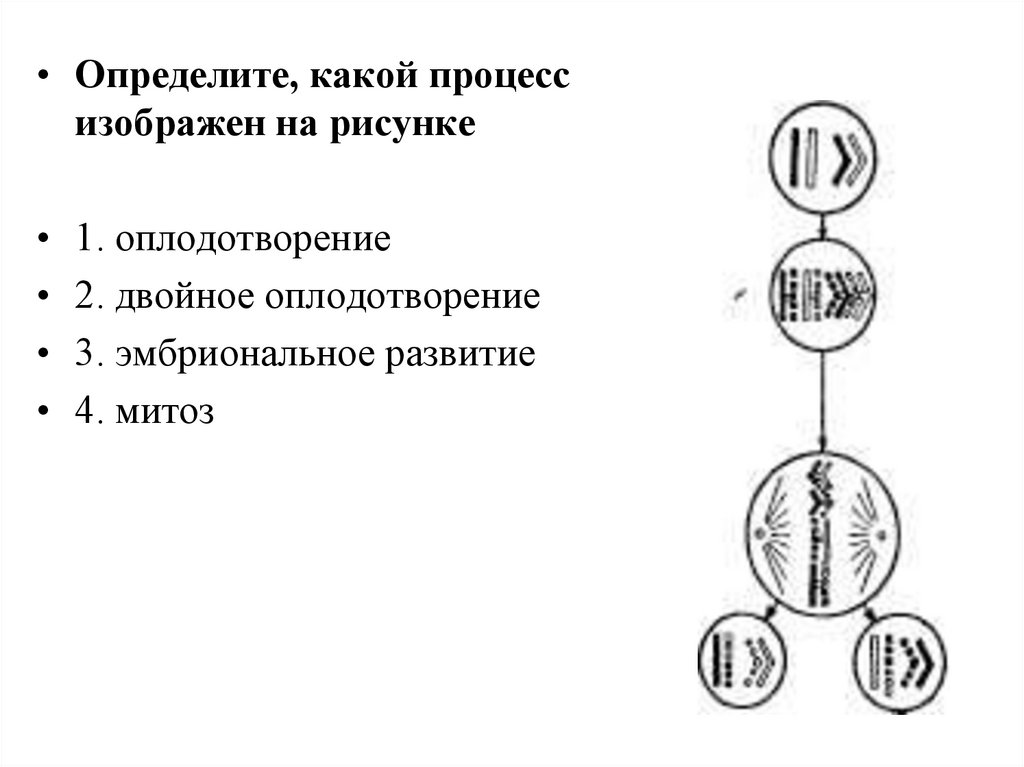 Схема какого природного процесса изображена на рисунке