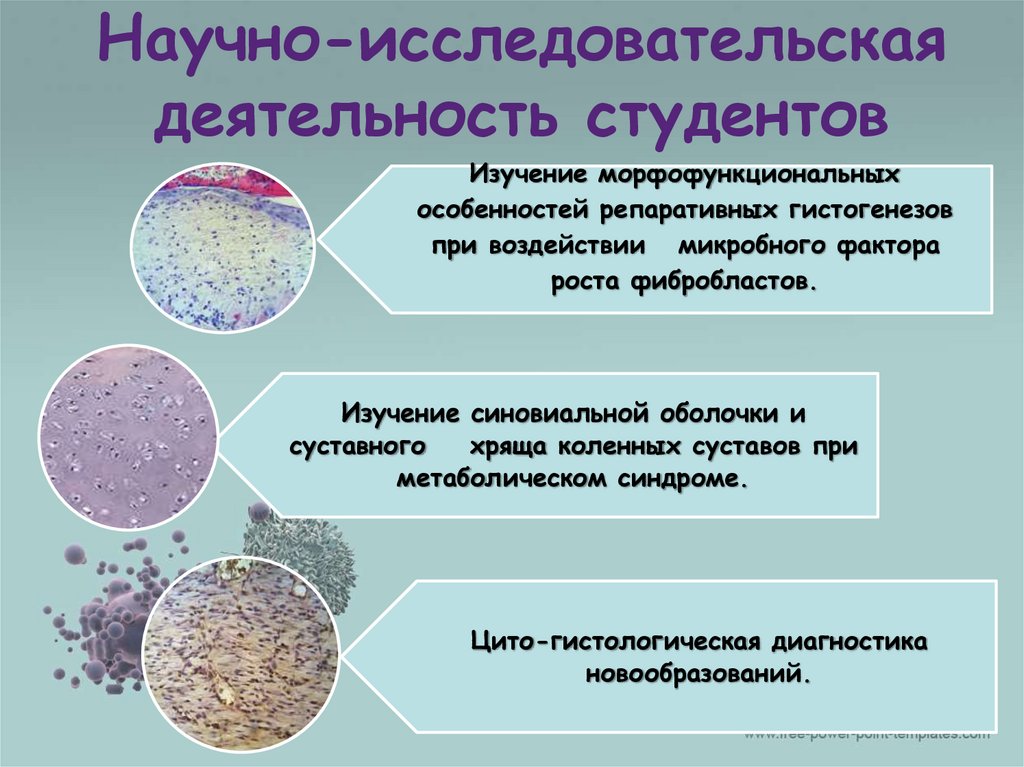 Практические работы по исследовательской деятельности