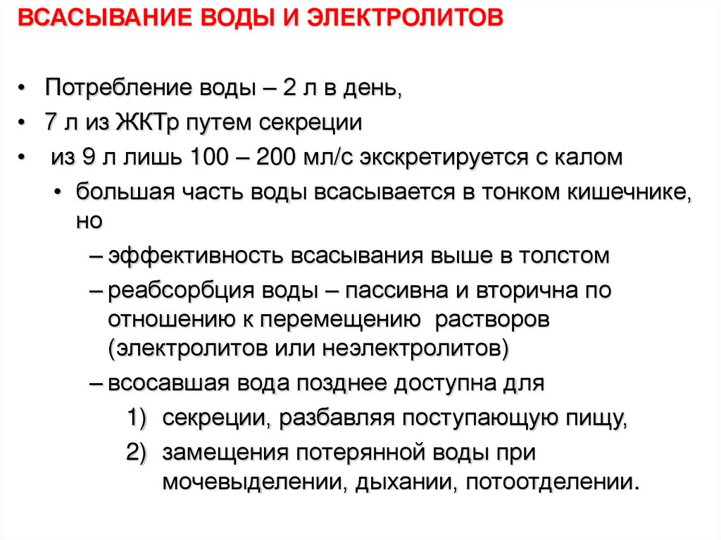 Процессы в толстом кишечнике. Всасывание в толстом кишечнике. Функции тонкого и Толстого кишечника. Всасывание..