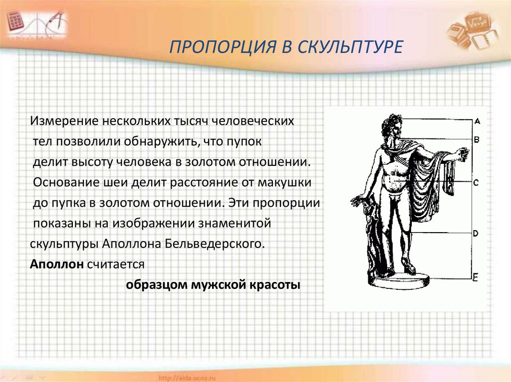 Исследовательский проект золотое сечение