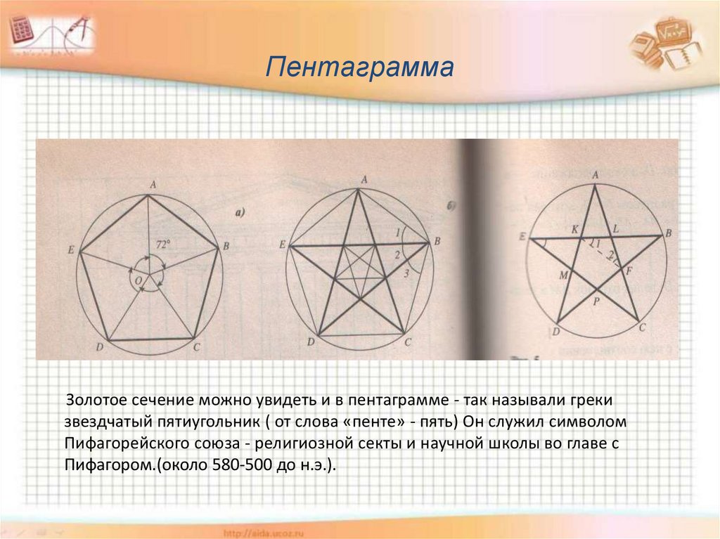 Исследовательский проект золотое сечение