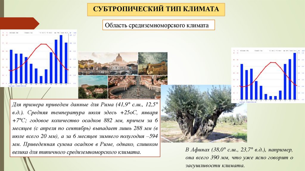 Температура в субтропическом поясе