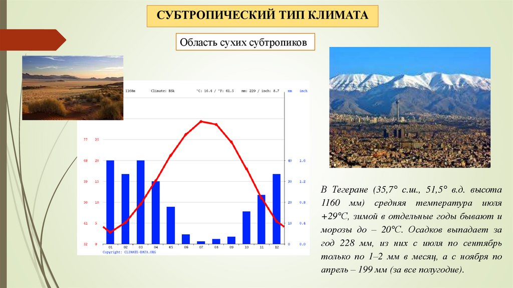 Температура в субтропическом поясе