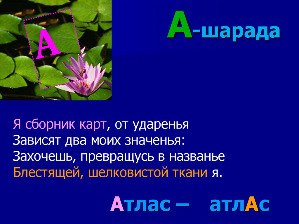 Шарада это. Шарады игра. Шарады про растения. Шарада про цветы. Шарады карточки.