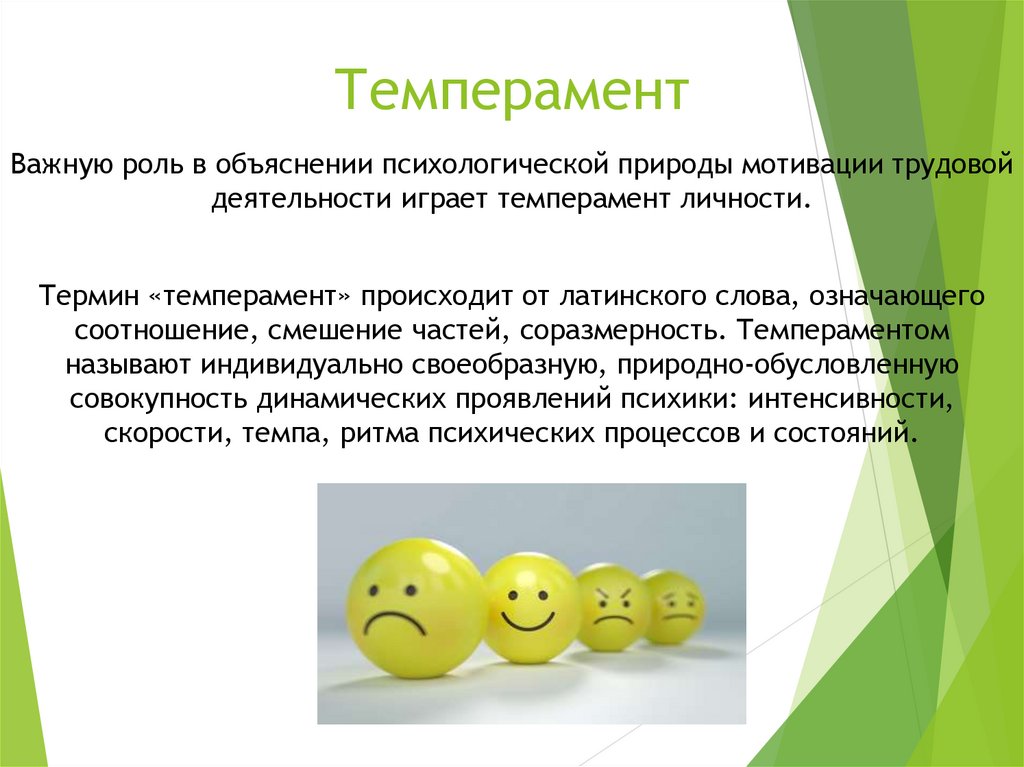 Темперамент