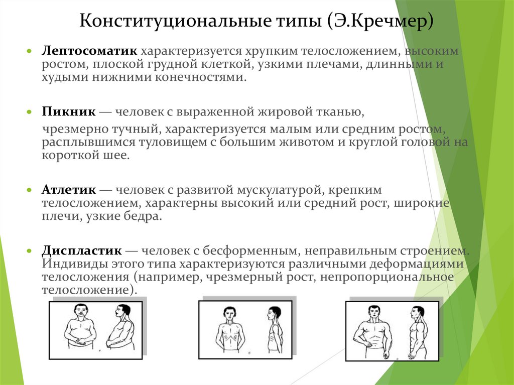 Конституциональные типы (Э.Кречмер)
