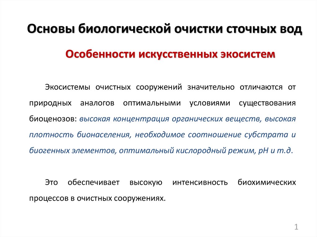 Биологическая основа человека