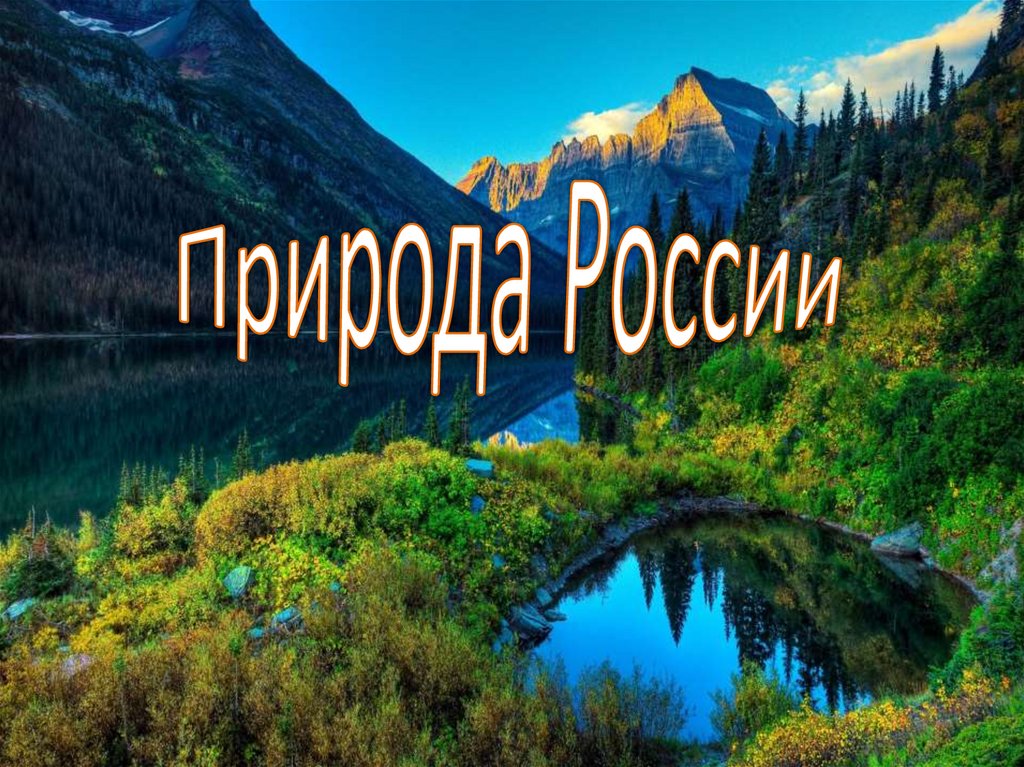 Окружающий мир 4 класс природа. Презентация на тему природа России. Природа России проект. Презентация природа Росси. Проект на тему природа России.