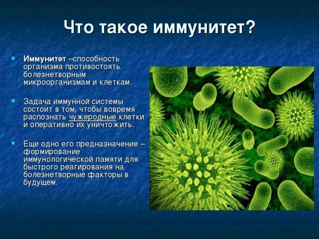 Роль иммунитета в жизни человека проект 9 класс биология