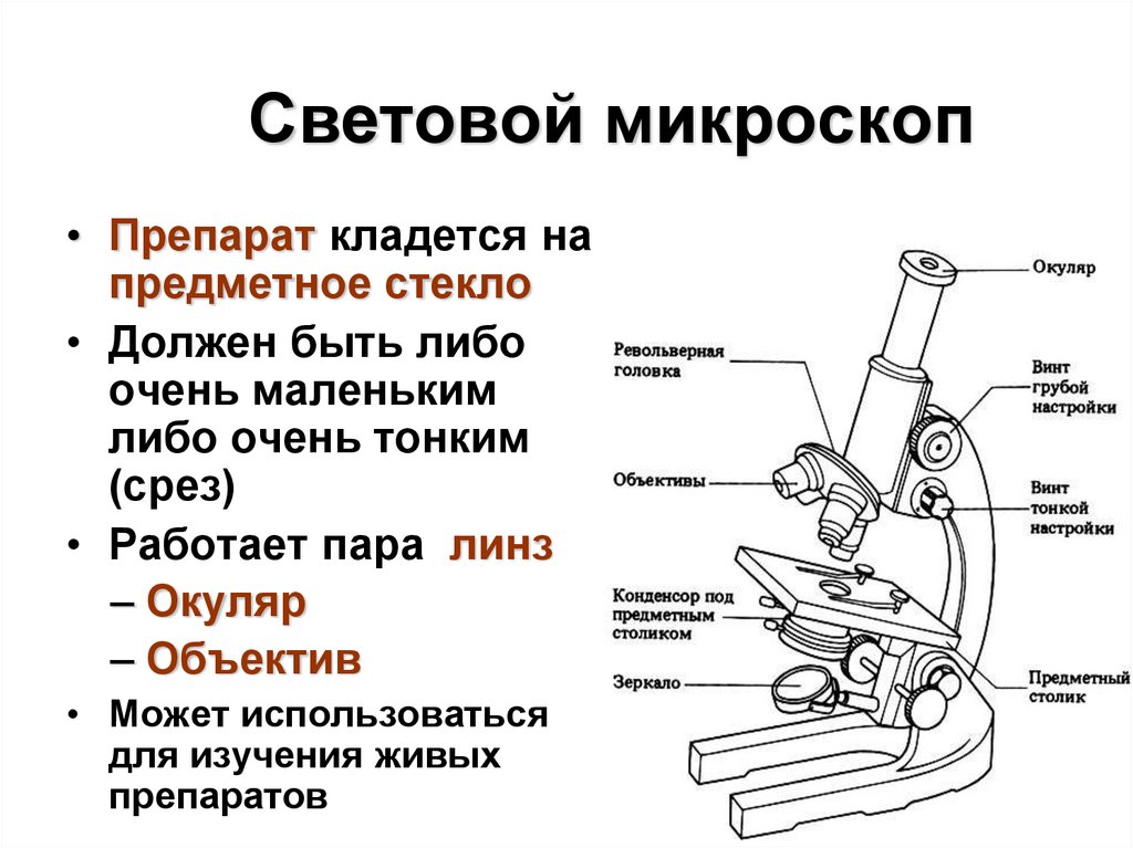 Строение светового. Схема устройства микроскопа световой микроскоп Биолам. Строение светового микроскопа 5 класс. Схема микроскопа 5 класс.