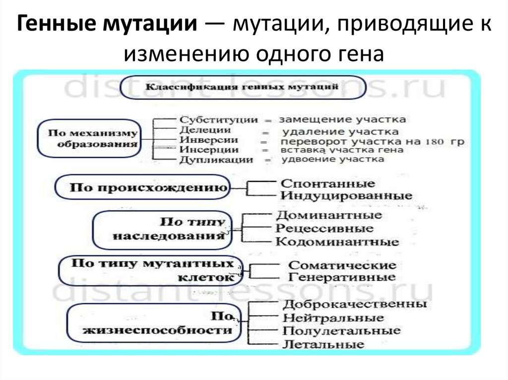 Мутации приводят к изменениям. Мутации приводят к изменениям