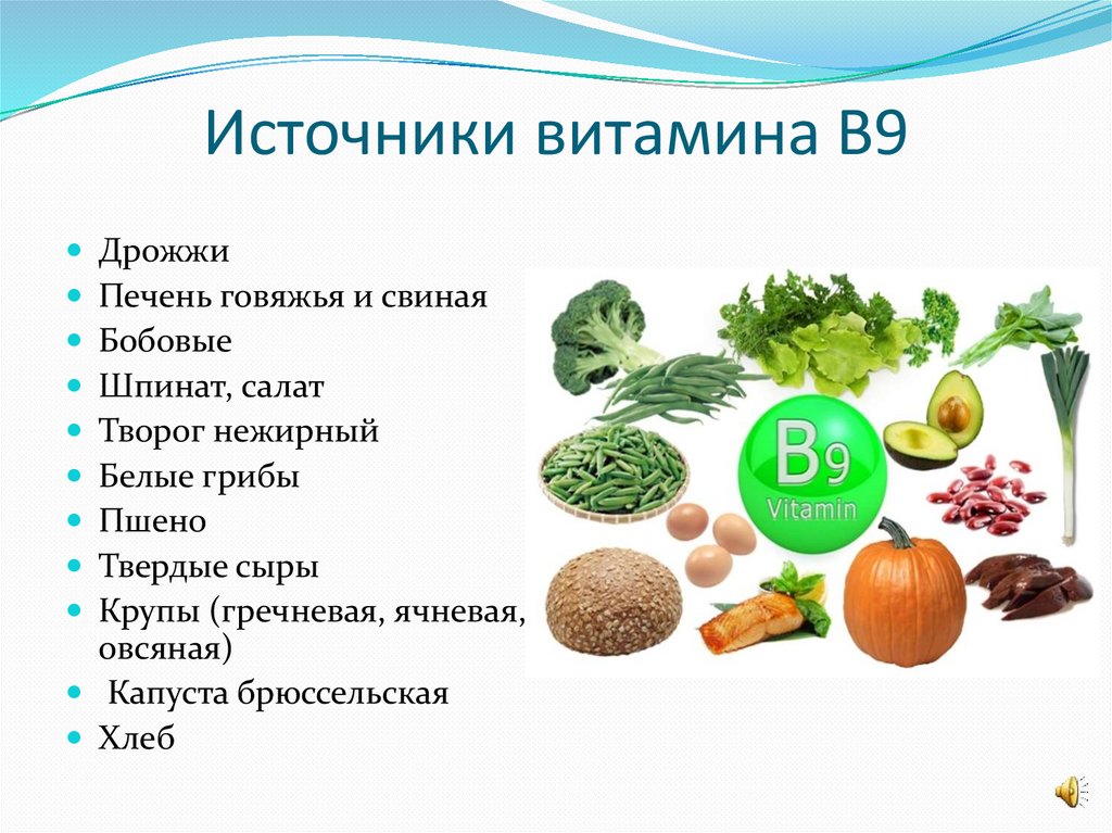 Источники витамина с. Источники витаминов для человека. Источники витамина в6. Витамин в9 функции. Популярный источник витамина а