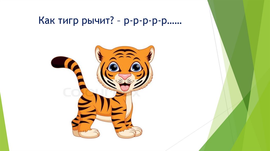 Как тигр рычит? – р-р-р-р-р……