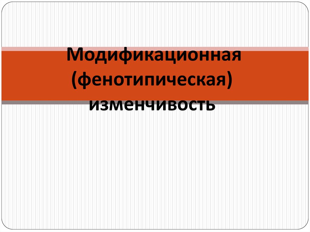 Модификационная изменчивость презентация 10 класс