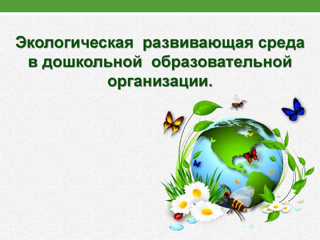 Эколого развивающая среда. Зональность эколого-развивающей среды(экологическая тропа). Си экологич.