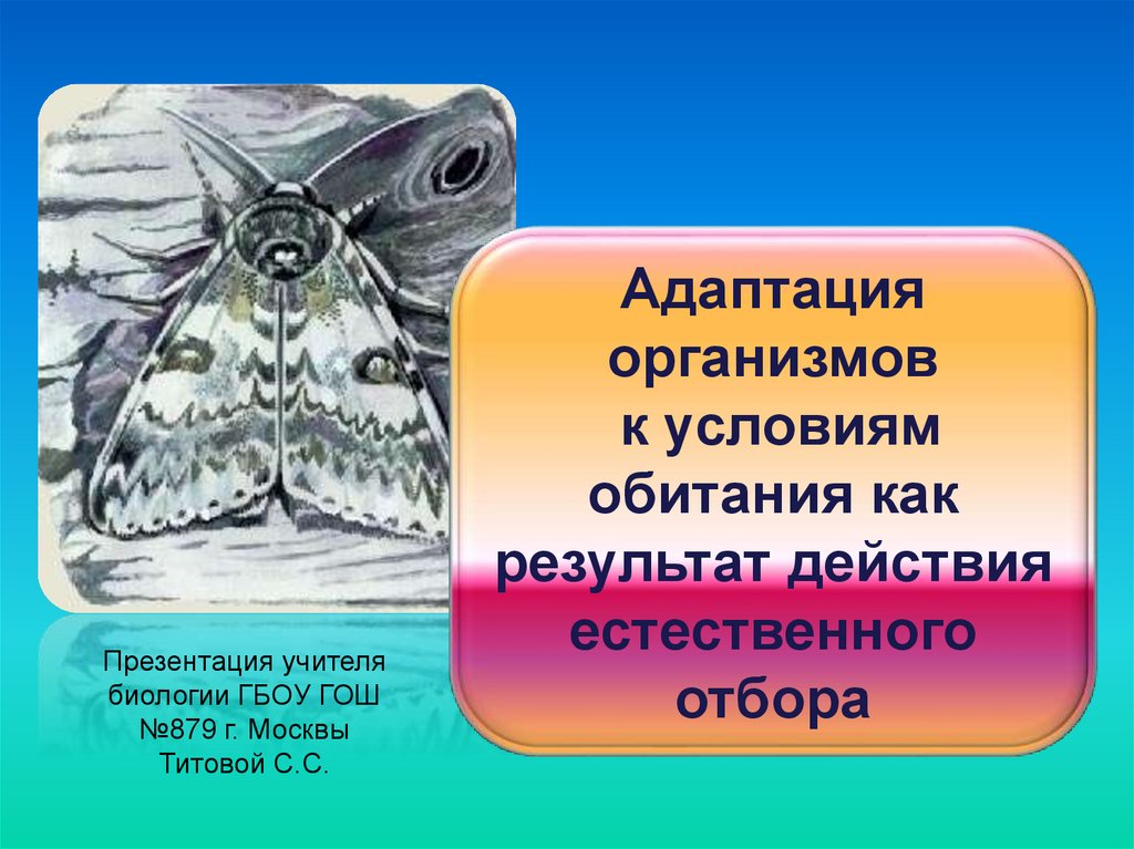 Адаптация как результат естественного отбора презентация