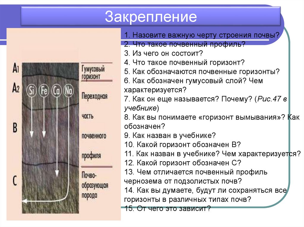 Из каких слоев формировалась