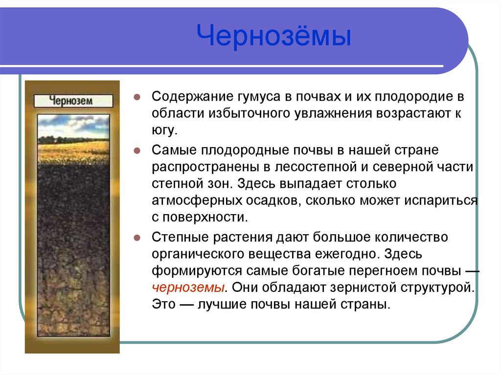 О каком свойстве почвы идет речь. Черноземы почвы России таблица. Чернозем описание почвы 4. Чернозёмные почвы характеристика. Характеристики почв чернозем почва.
