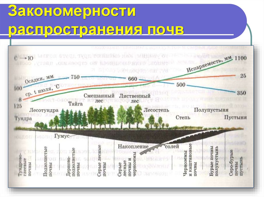 Презентация типы почв