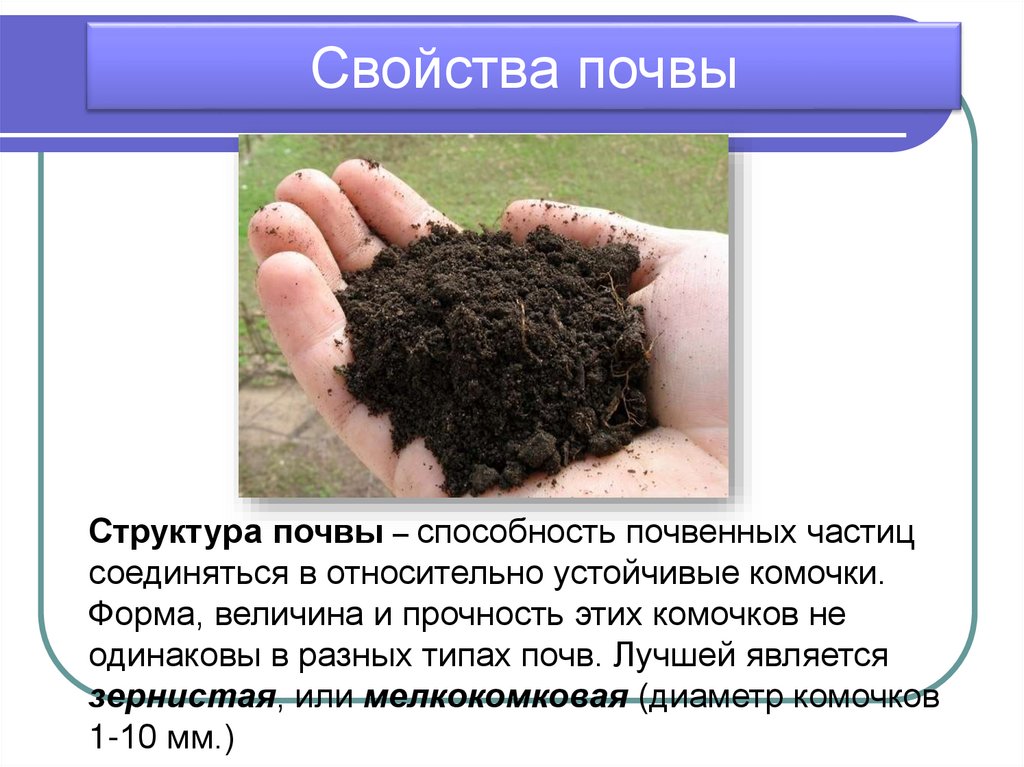 Органические свойства почвы. Состав и структура почвы. Презентация о почве России. Строение почвы. Структура почвы.