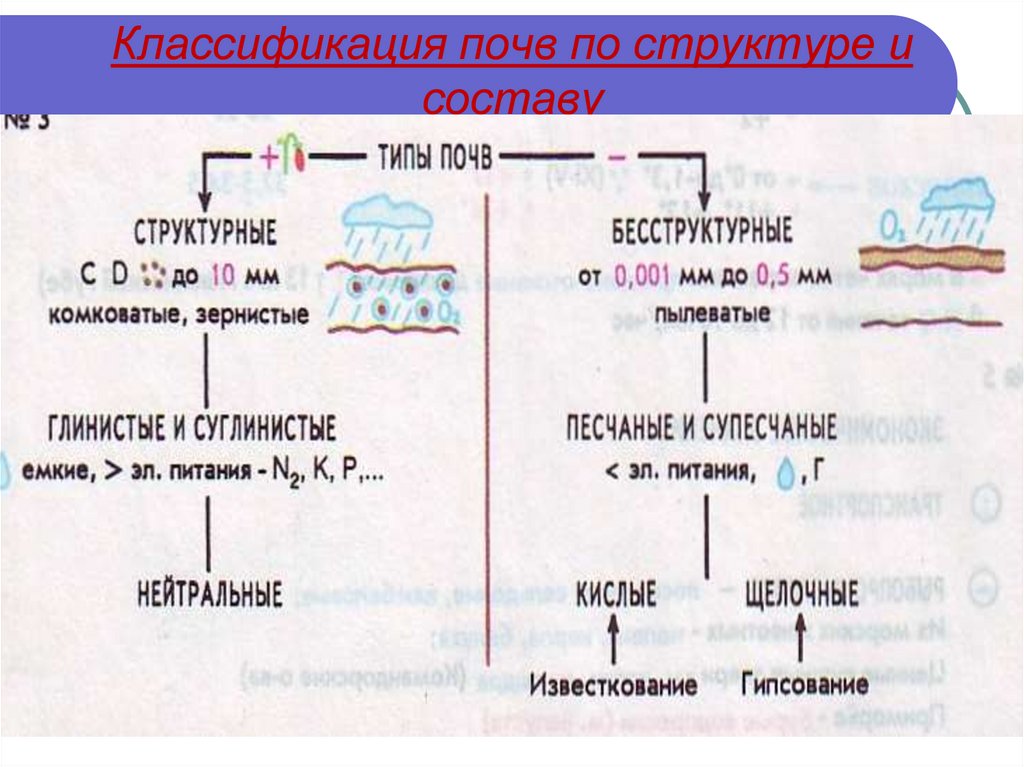 Классификация свойства состав почвы. Классификация почв. Классификация грунтов. Классификация структуры почвы. Систематика почв.