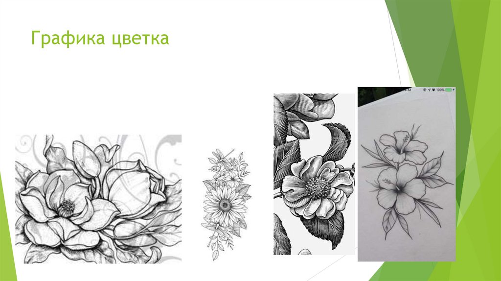 Графика цветка