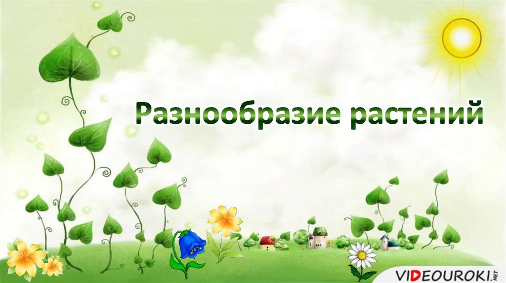 Разнообразие растений. Разнообразие растений 3 класс окружающий мир видео. Разнообразие растений 3 класс окружающий мир видео. Разнообразие растений 3 класс окружающий мир видео. Разнообразие растений 3 класс окружающий мир видео.