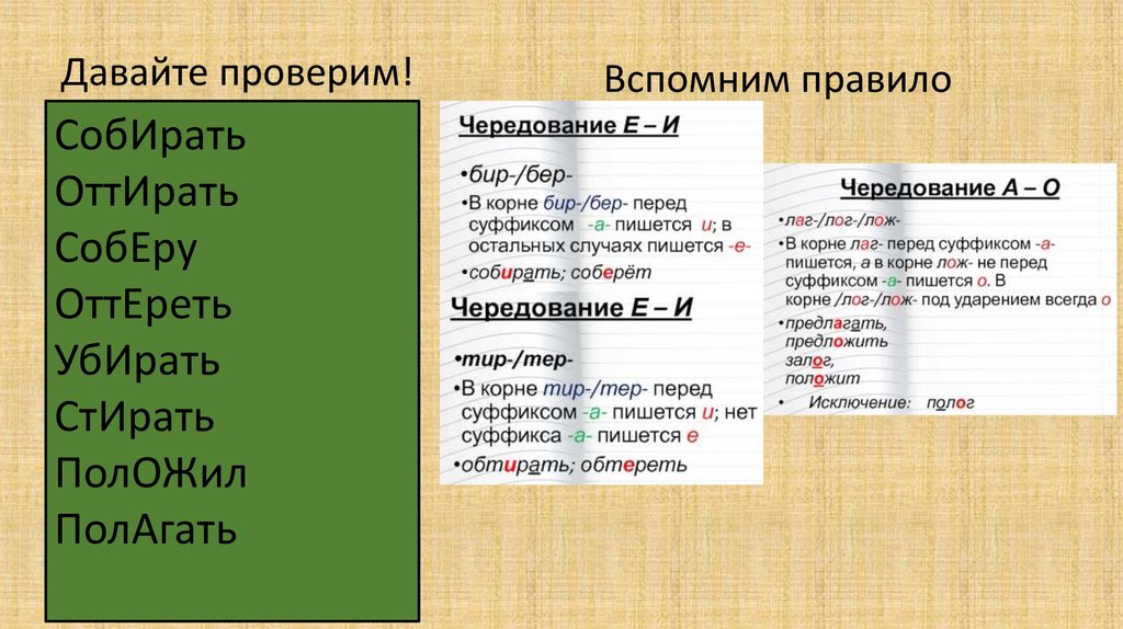 Корни с чередованием презентация