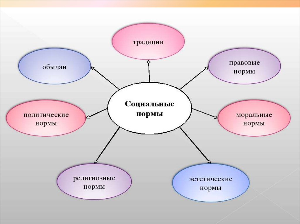 Виды социальных норм презентация