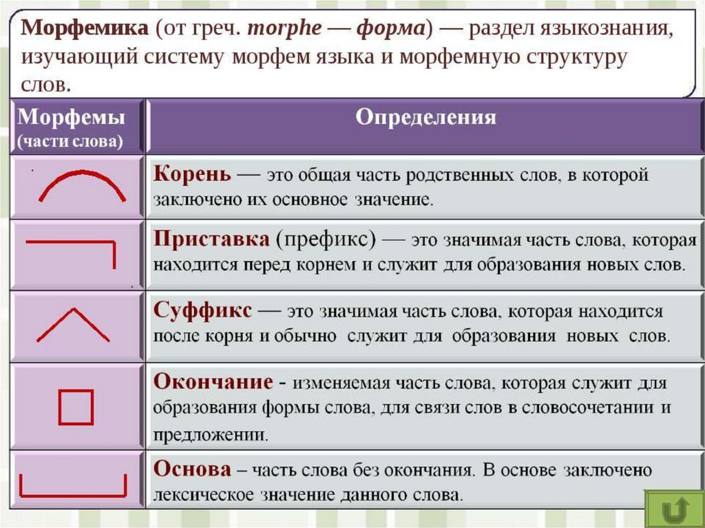 Лесной разбор части слова. Морфемы в русском языке. Морфемика это в русском языке. Определение частей слова. Морфема и Морфемика.