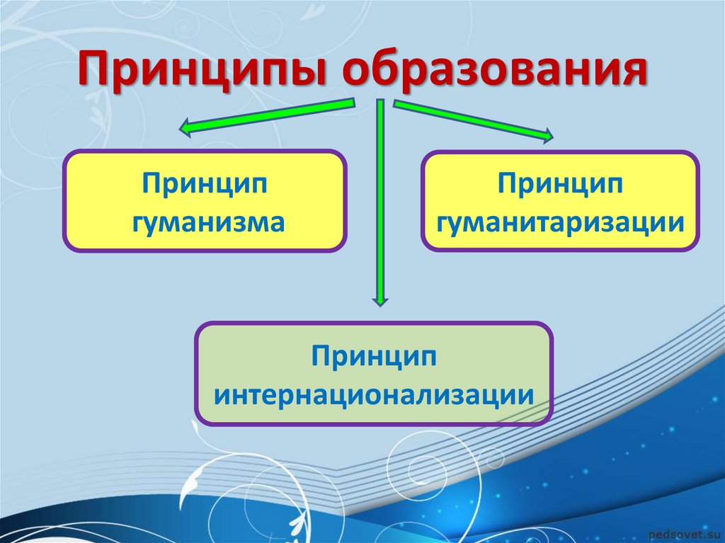 Какие принципы образования