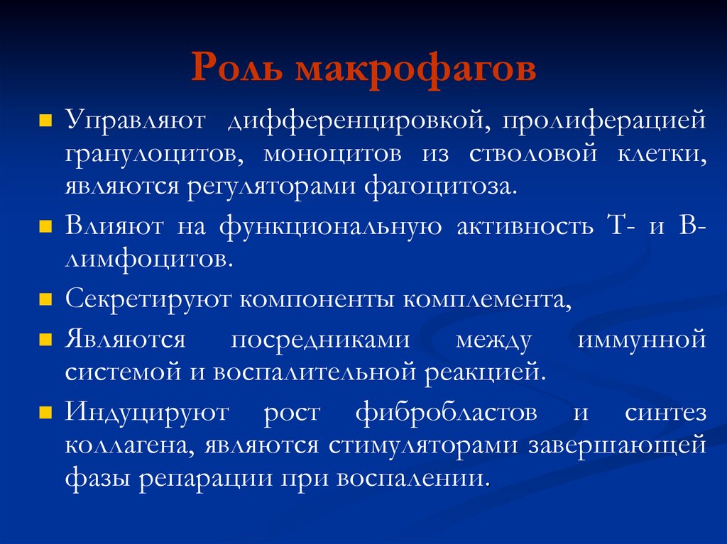 Активность т. Функциональная активность т-лимфоцитов. Пролиферация гранулоцитов.