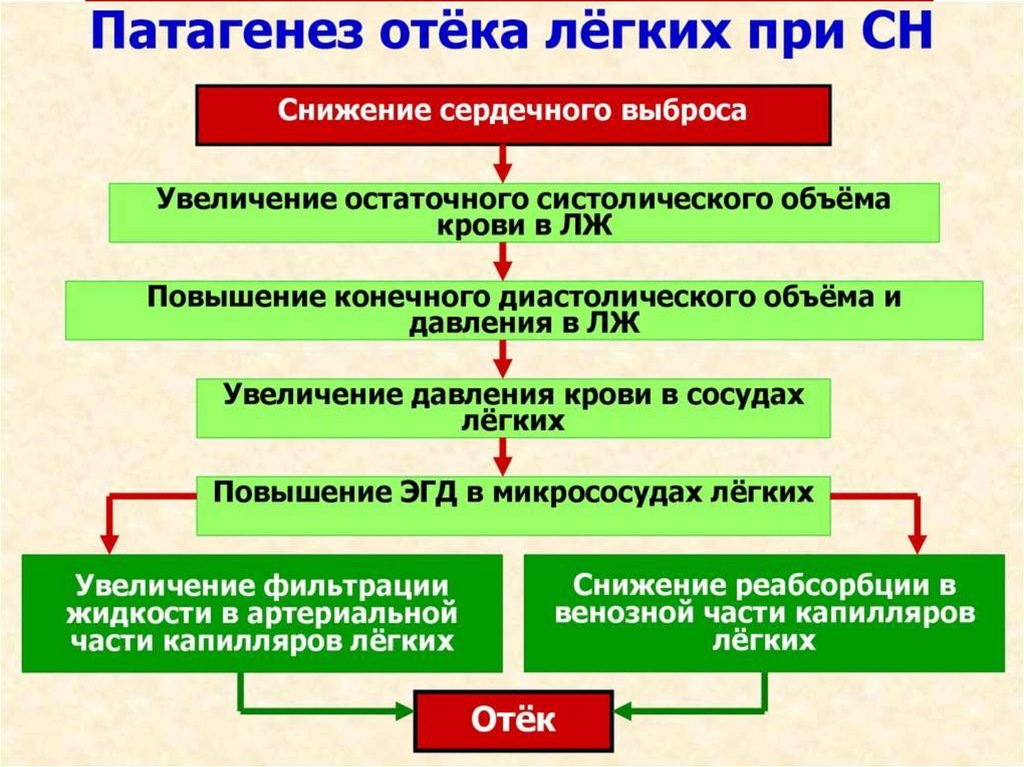 Сердечный отек легких. Патогенез развития отека легких:. Схема развития отека легких. Отёк лёгких этиология патогенез. Механизм развития отека легких.