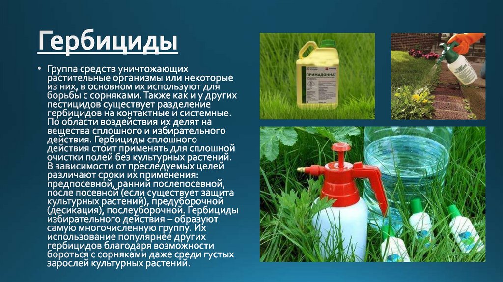 Гербициды последствия. Применение пестицидов. Химическими средствами - гербицидами. Контактные гербициды. Контактные и системные гербициды.