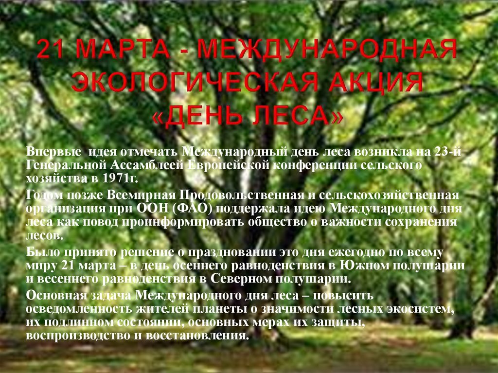 День лесов презентация. Международный день леса. Международный день леса презентация. День леса презентация для начальной школы.