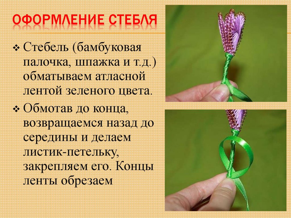 Оформление стебля