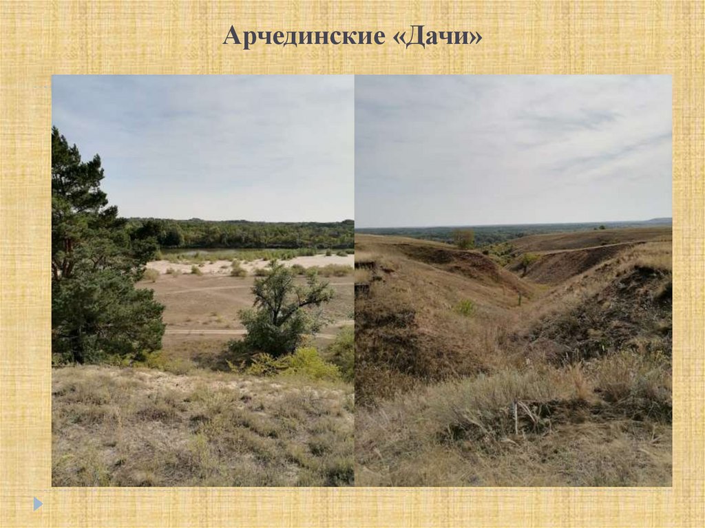 Арчединские «Дачи»