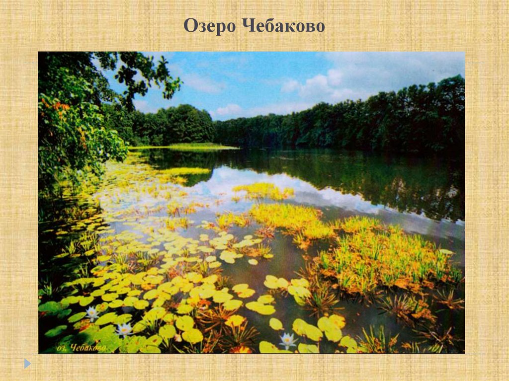 Озеро Чебаково